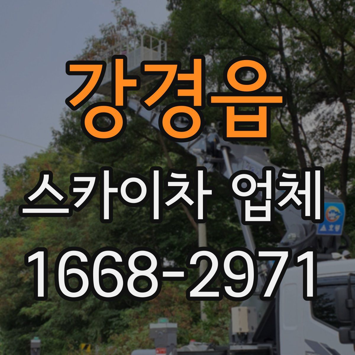 강경읍 스카이차 업체