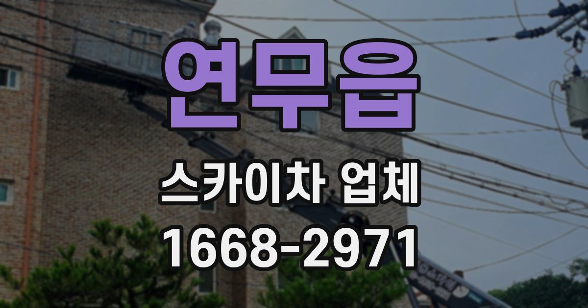 연무읍 스카이차 업체
