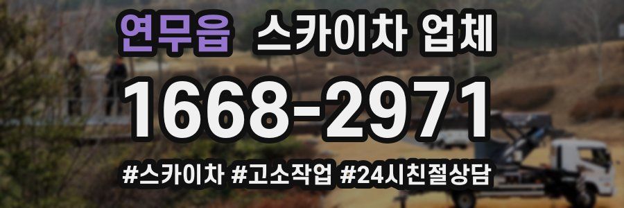 연무읍 스카이차 업체