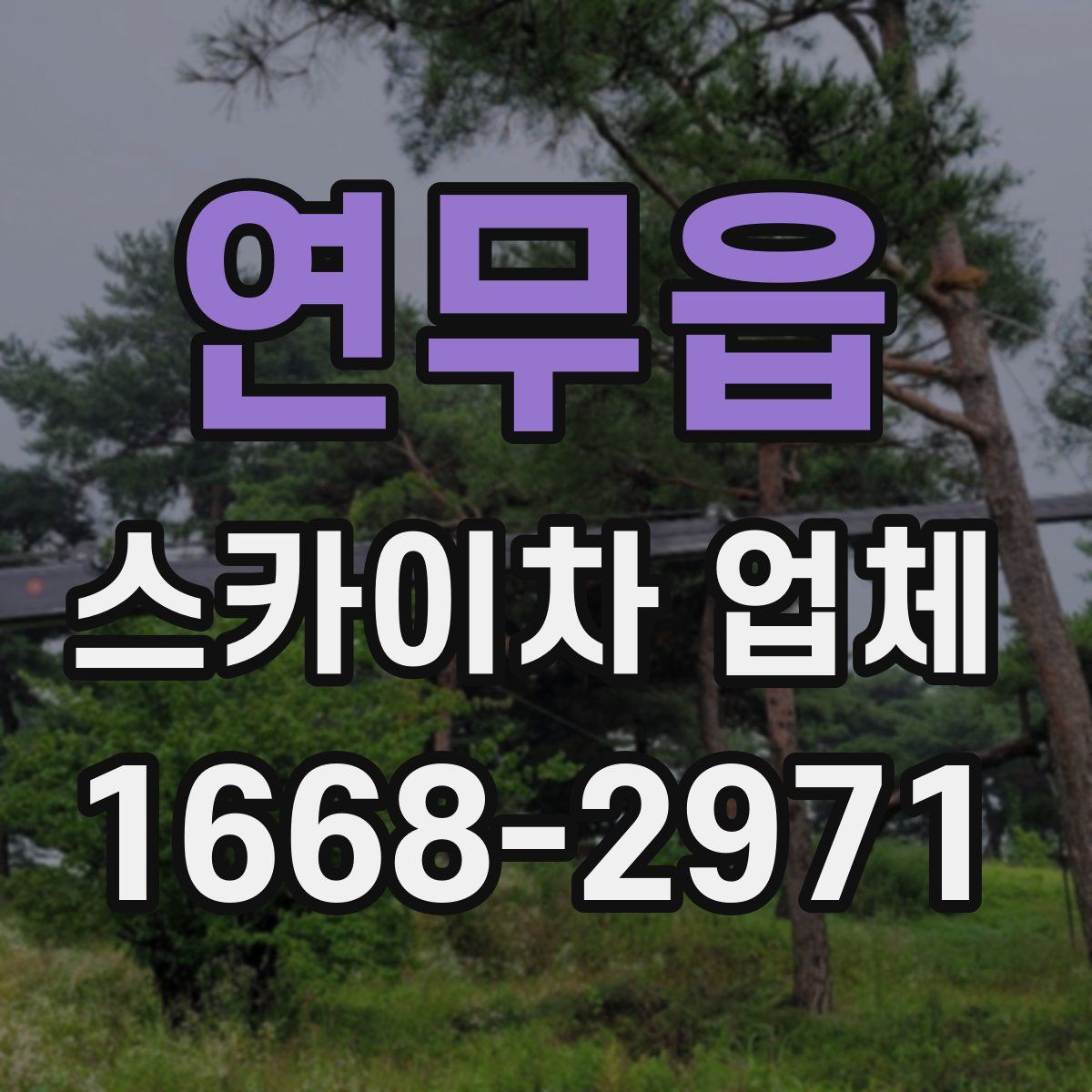 연무읍 스카이차 업체