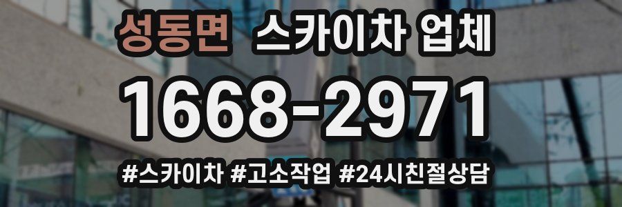 성동면 스카이차 업체