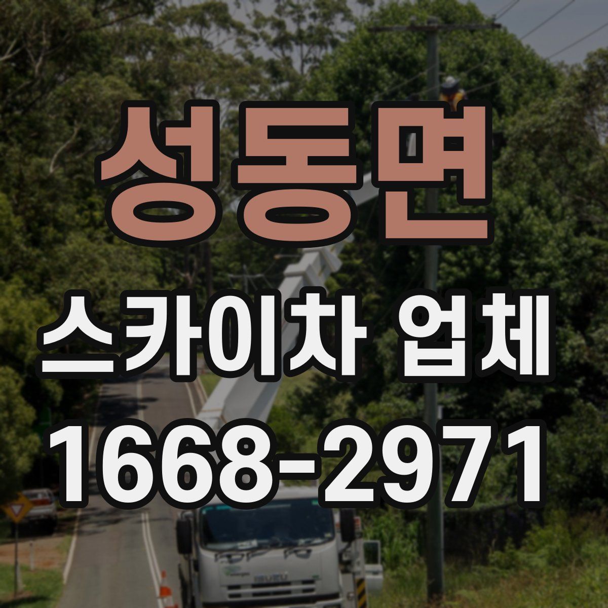 성동면 스카이차 업체