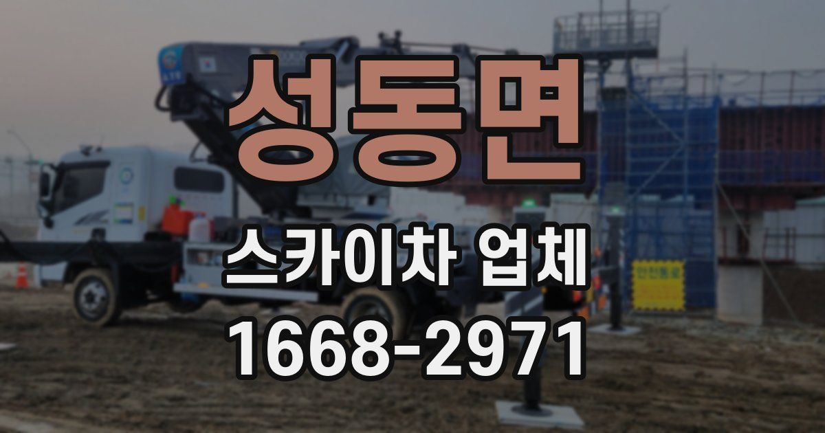 성동면 스카이차 업체