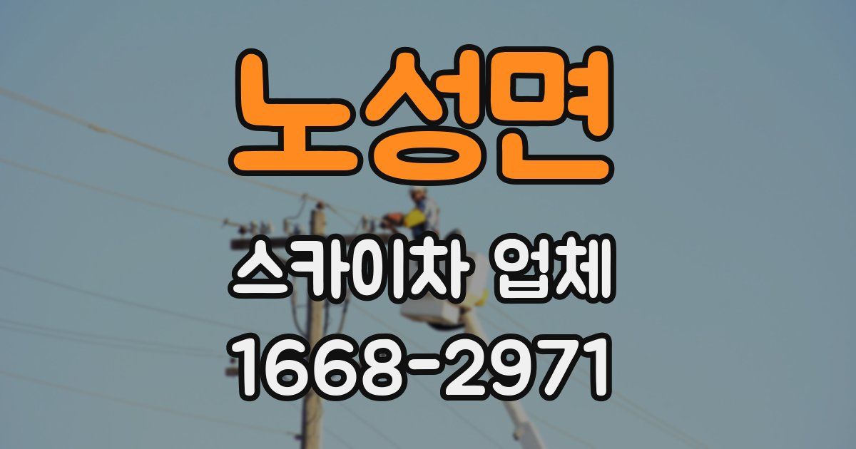 노성면 스카이차 업체