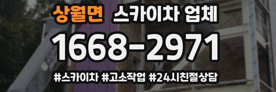 상월면 스카이차 업체