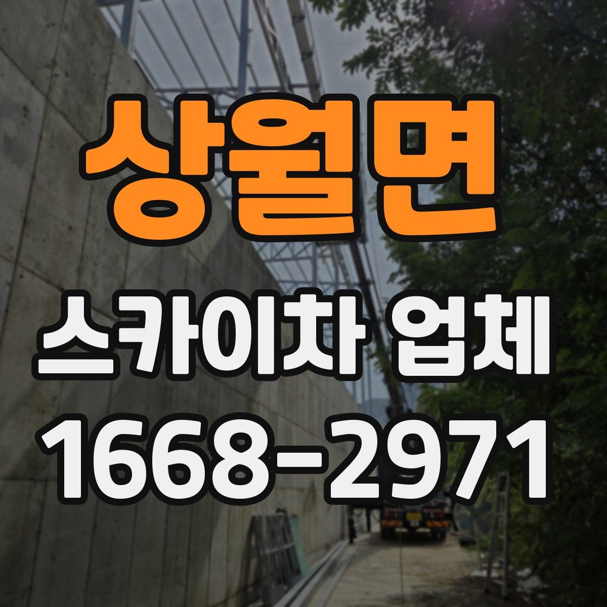 상월면 스카이차 업체
