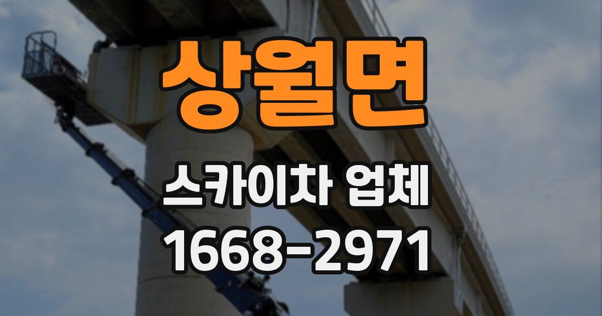 상월면 스카이차 업체