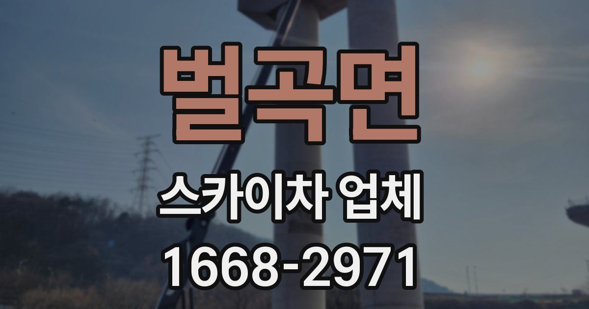 벌곡면 스카이차 업체