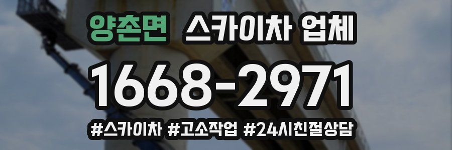 양촌면 스카이차 업체