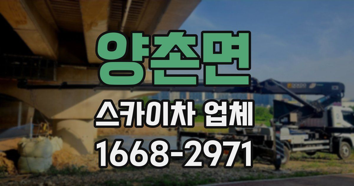 양촌면 스카이차 업체
