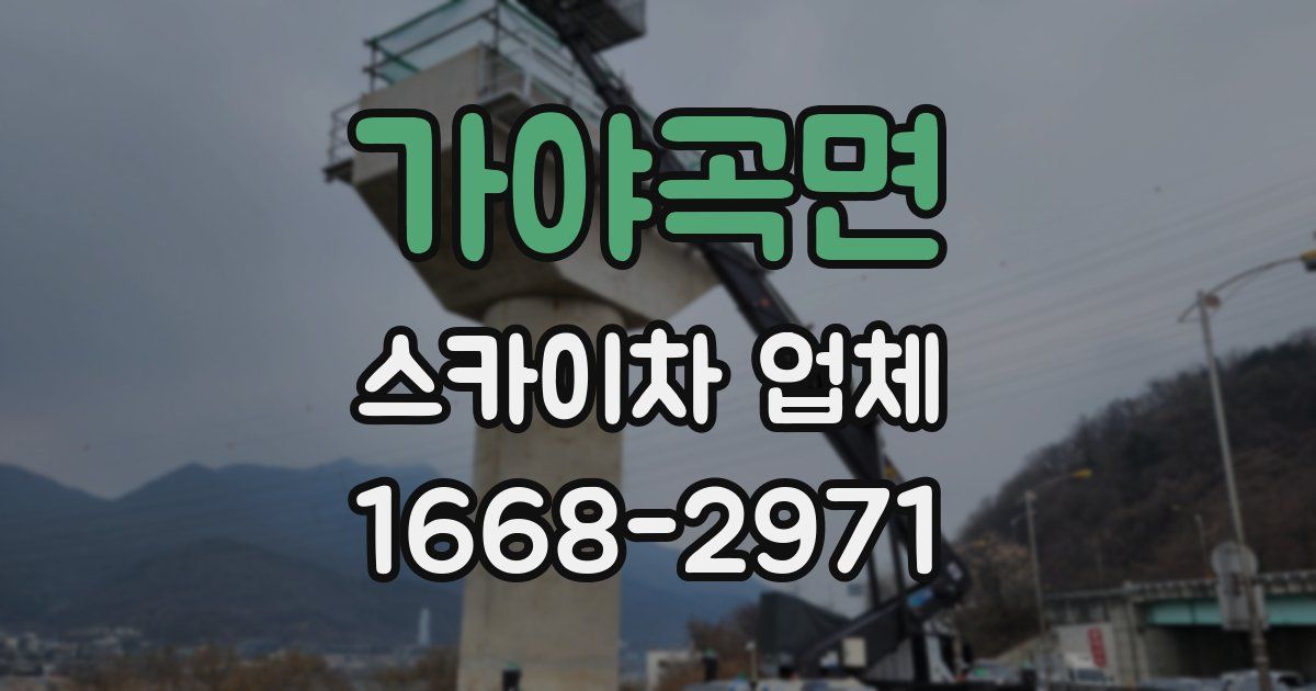가야곡면 스카이차 업체