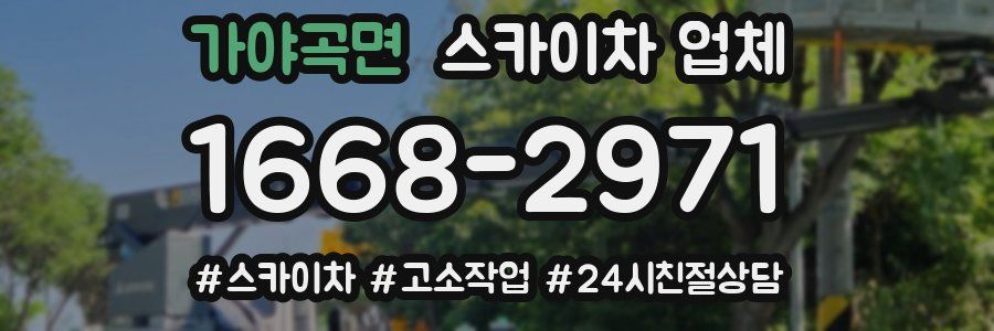 가야곡면 스카이차 업체