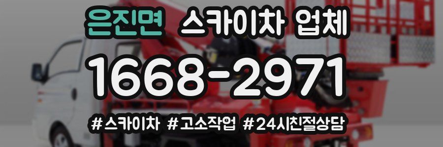 은진면 스카이차 업체