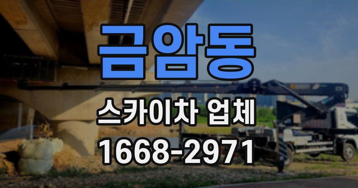 금암동 스카이차 업체
