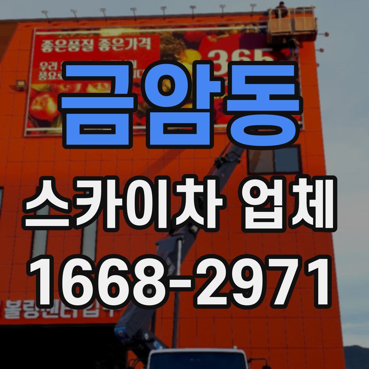 금암동 스카이차 업체