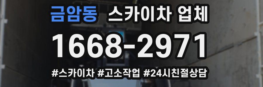 금암동 스카이차 업체