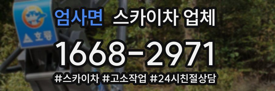엄사면 스카이차 업체