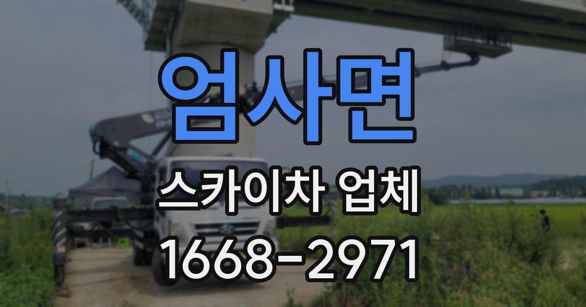 엄사면 스카이차 업체