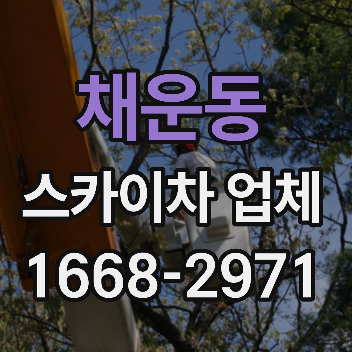 채운동 스카이차 업체