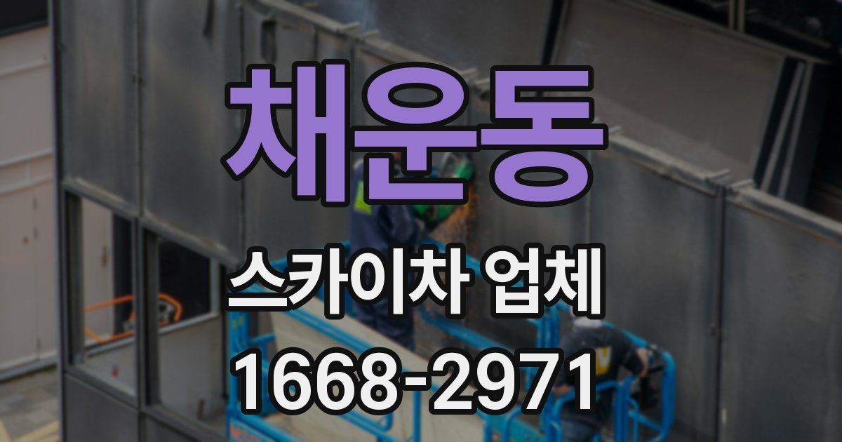 채운동 스카이차 업체