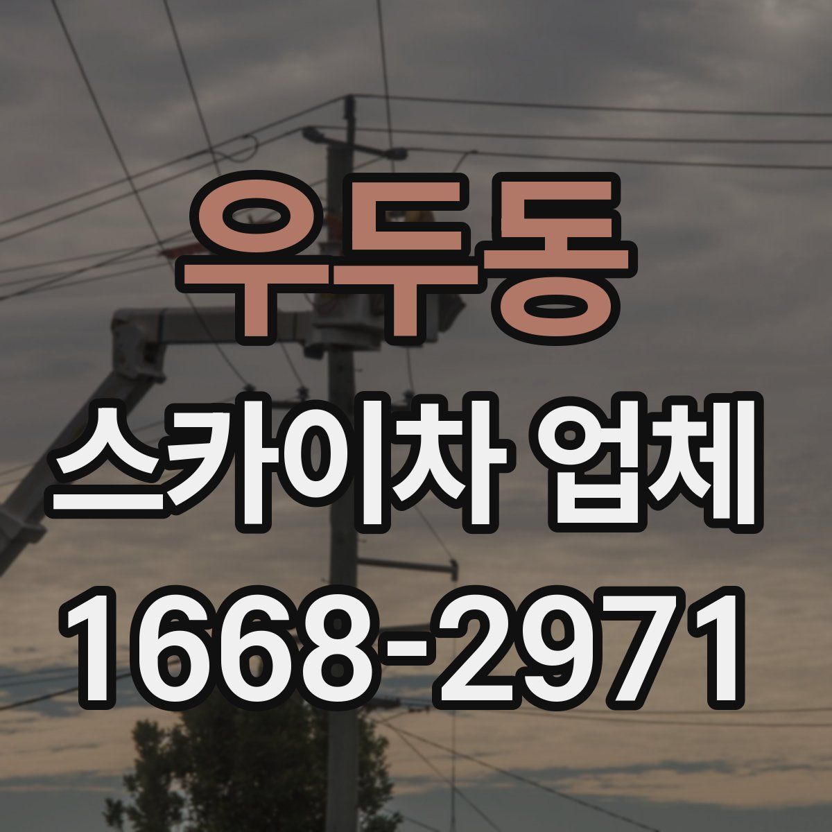 우두동 스카이차 업체
