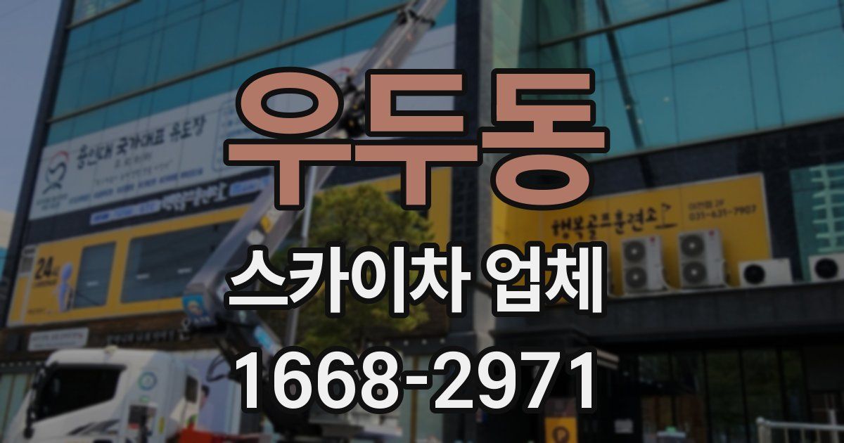 우두동 스카이차 업체