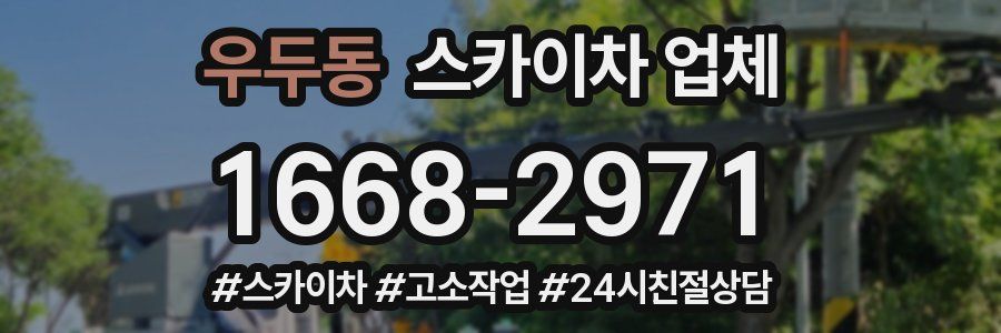 우두동 스카이차 업체