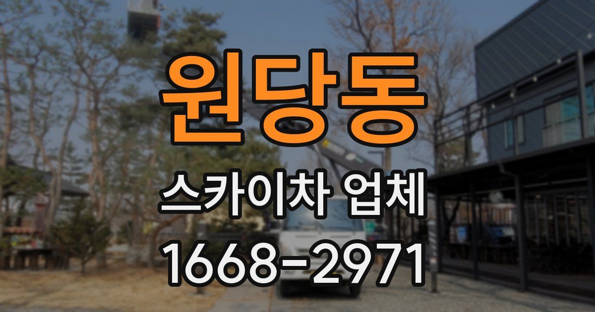 원당동 스카이차 업체