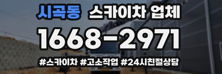 시곡동 스카이차 업체