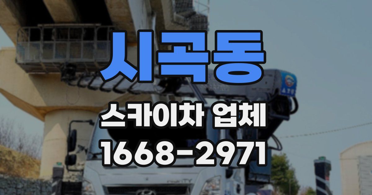 시곡동 스카이차 업체