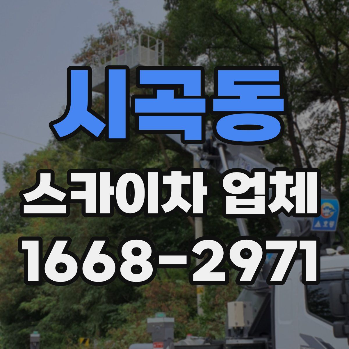 시곡동 스카이차 업체