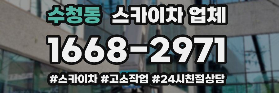 수청동 스카이차 업체