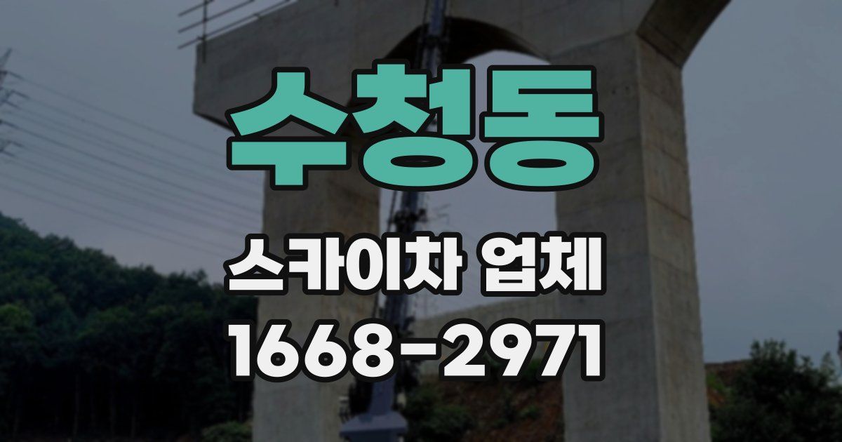수청동 스카이차 업체