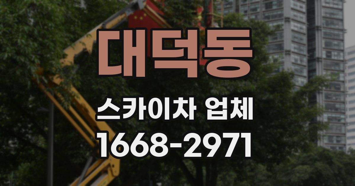 대덕동 스카이차 업체