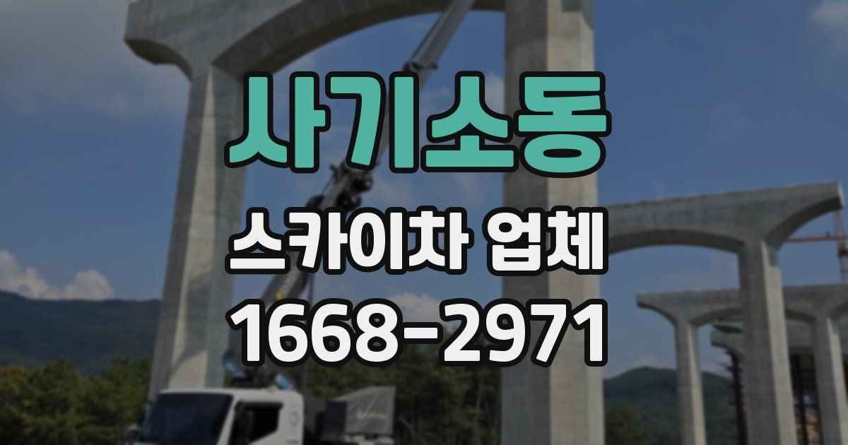 사기소동 스카이차 업체