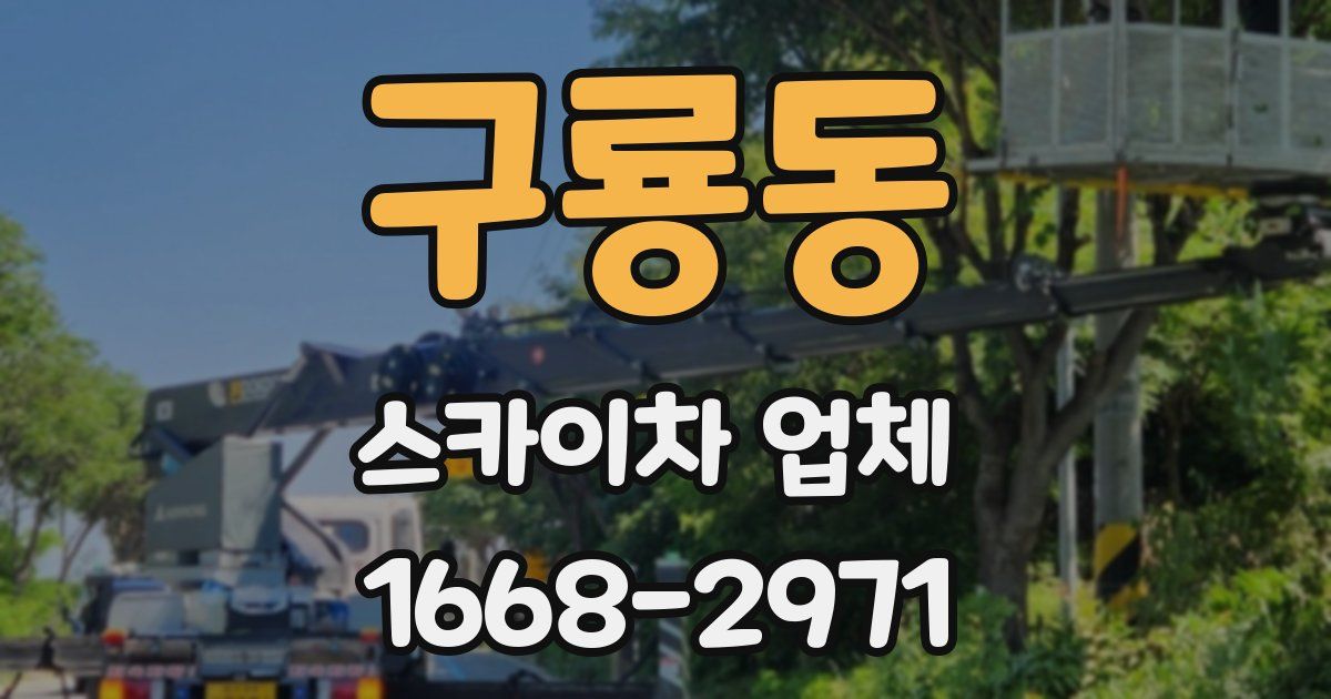 구룡동 스카이차 업체