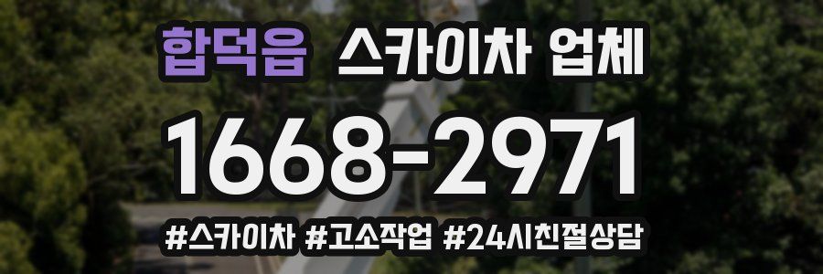 합덕읍 스카이차 업체