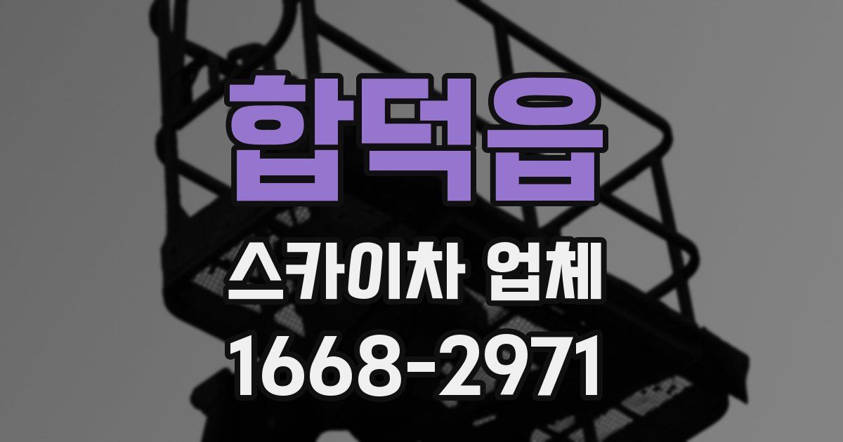합덕읍 스카이차 업체