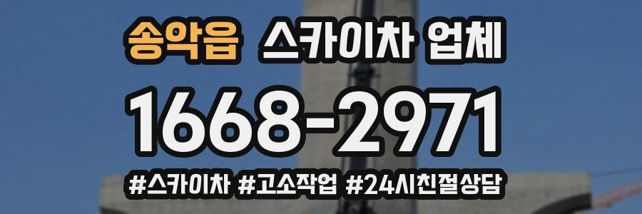 송악읍 스카이차 업체