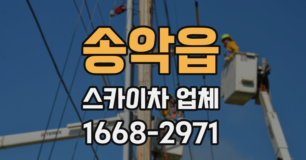 송악읍 스카이차 업체