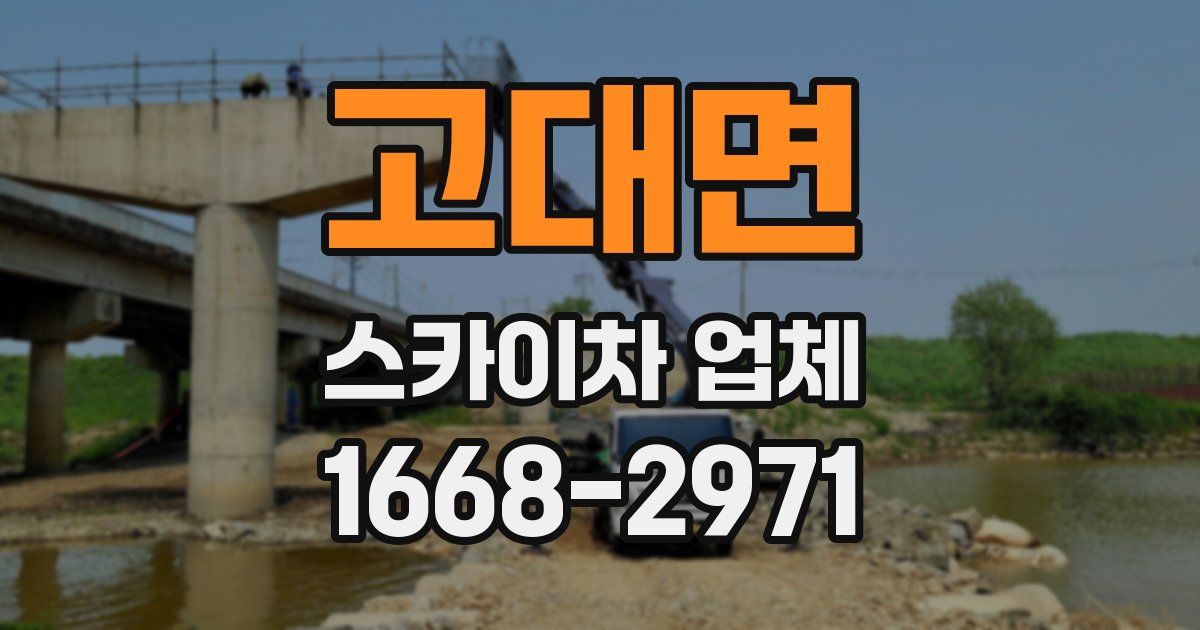 고대면 스카이차 업체