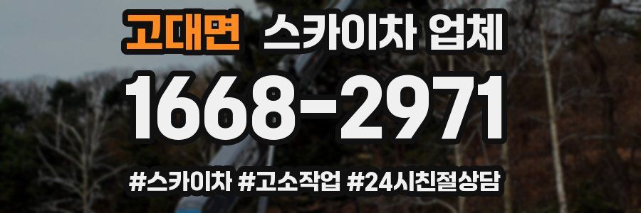 고대면 스카이차 업체