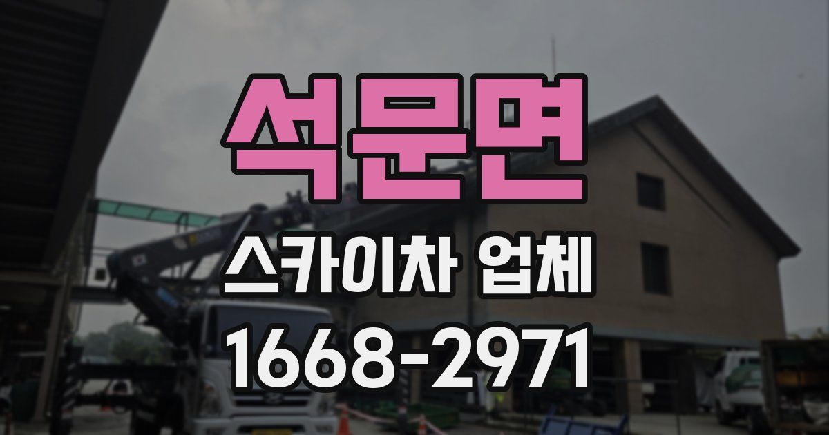 석문면 스카이차 업체