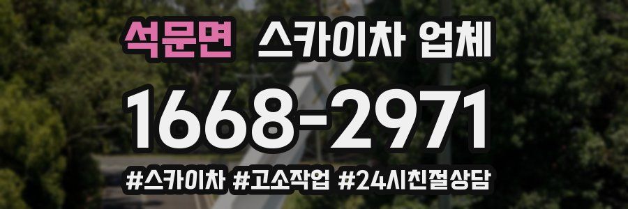 석문면 스카이차 업체