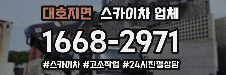 대호지면 스카이차 업체