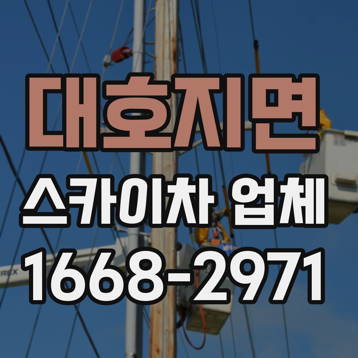 대호지면 스카이차 업체