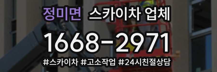 정미면 스카이차 업체