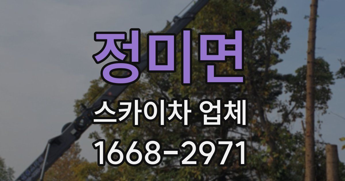 정미면 스카이차 업체