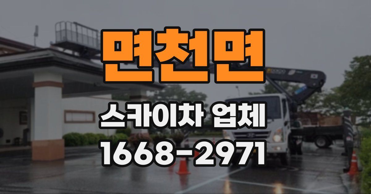 면천면 스카이차 업체