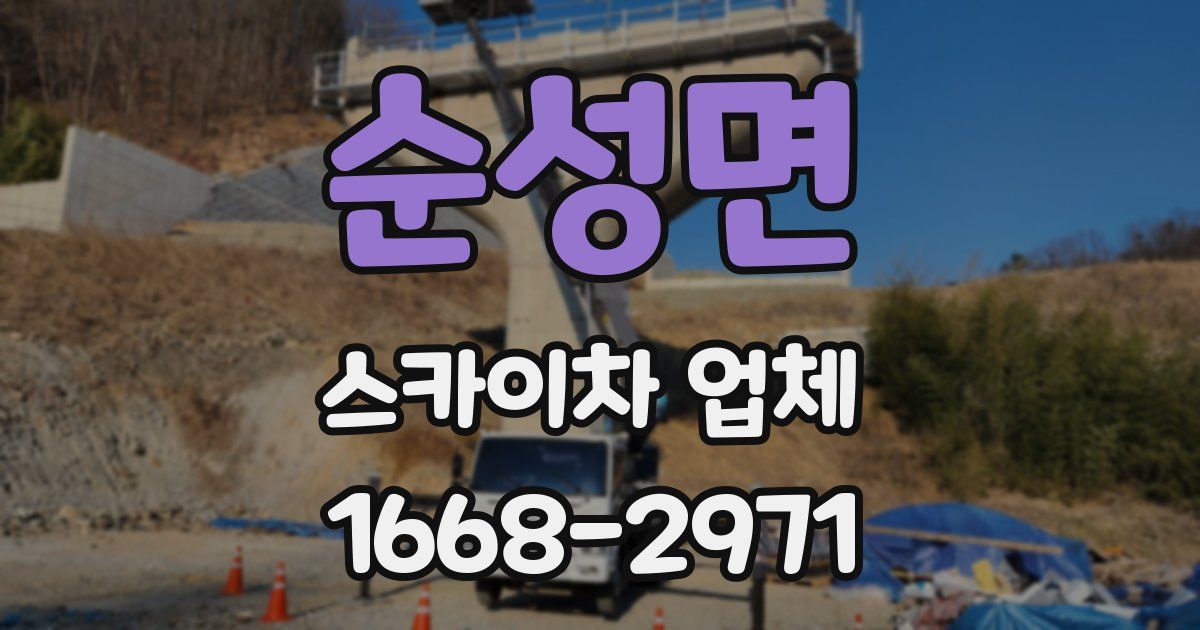 순성면 스카이차 업체